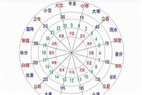 偉五行|伟字的五行属性